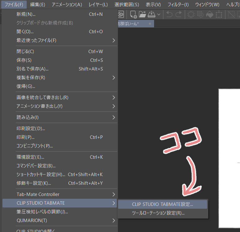 Clip Studio Tabmate レビュー 設定のおススメも紹介 くま美 と くまゴローの生活